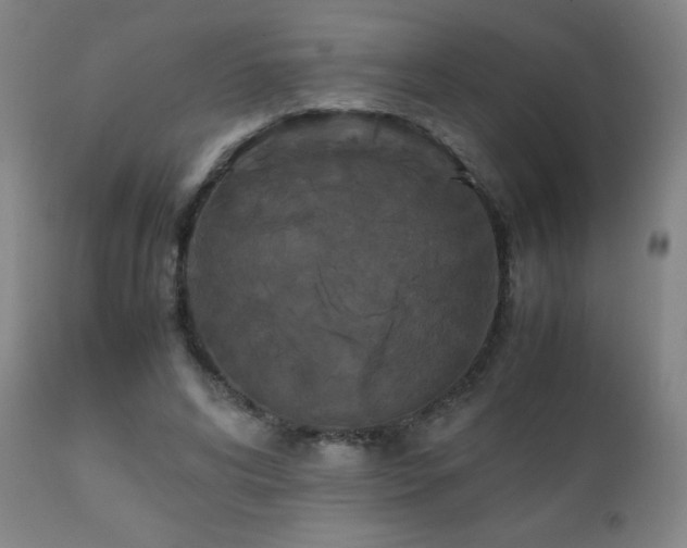 X0000111230592200907021401