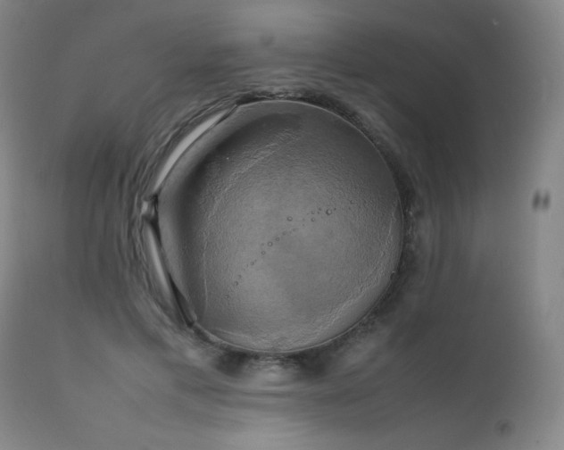 X0000111230597200907021400