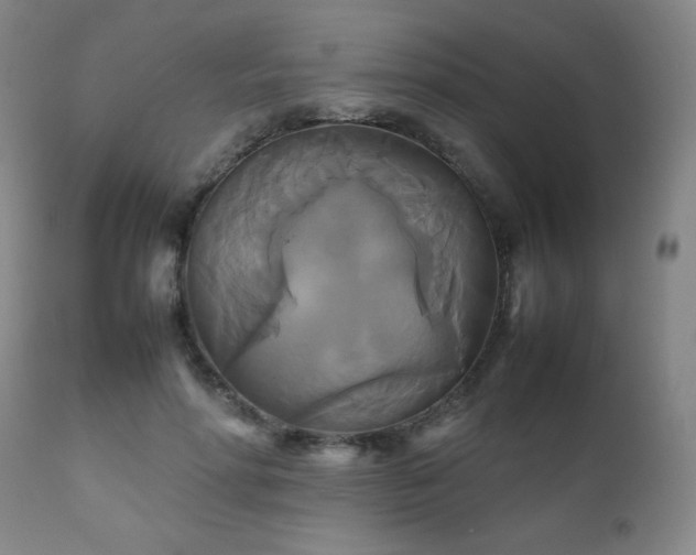 X0000111230598200907021400