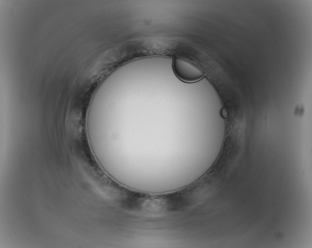 X0000111230599200907021400