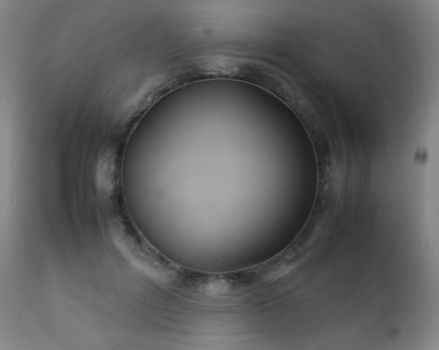 X0000111230600200907021400