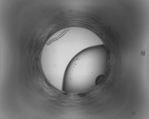 X0000111230601200907021400