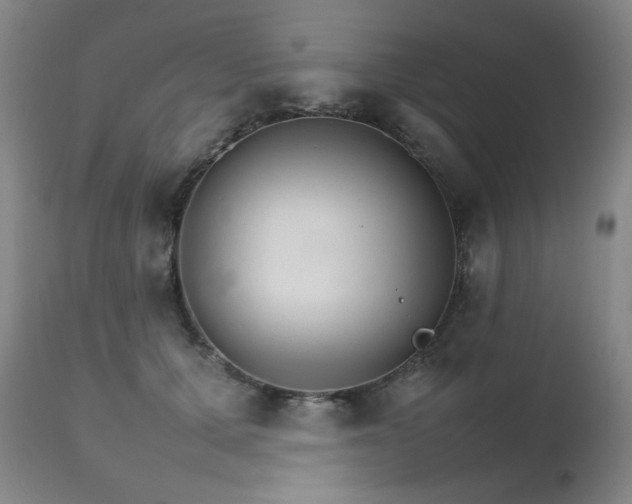 X0000111230607200907021400
