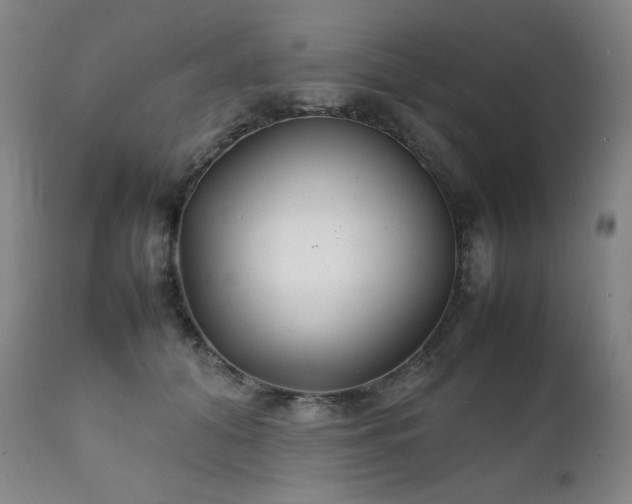 X0000111230608200907021400