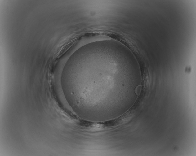 X0000111230609200907021400