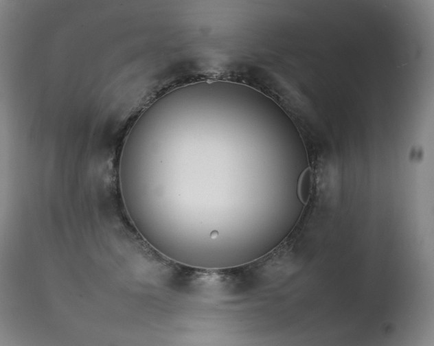 X0000111230611200907021400