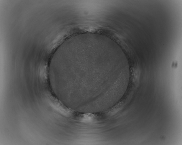 X0000111230612200907021400