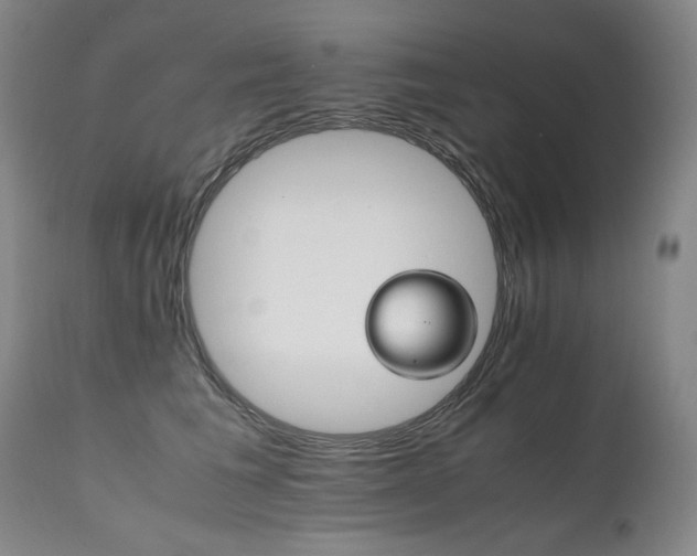 X0000111230613200907021400