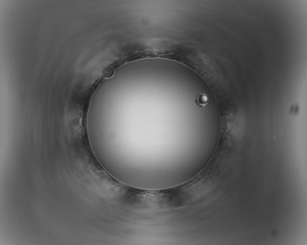 X0000111230615200907021400