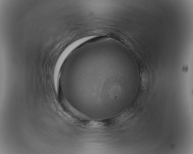 X0000111230617200907021400