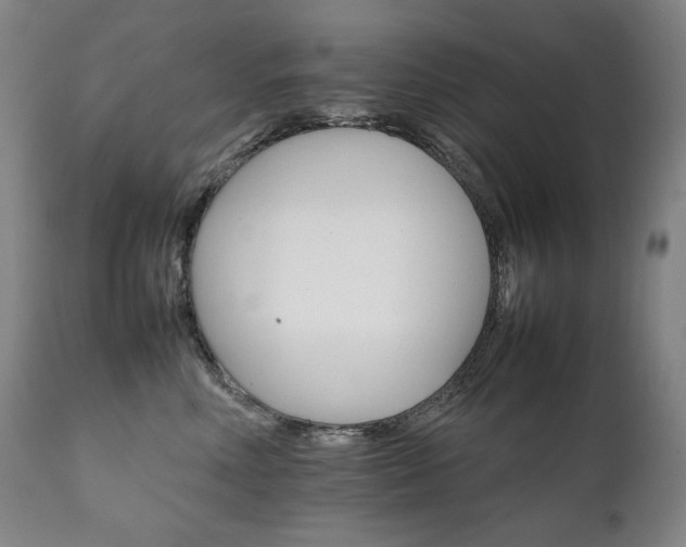 X0000111230618200907021400