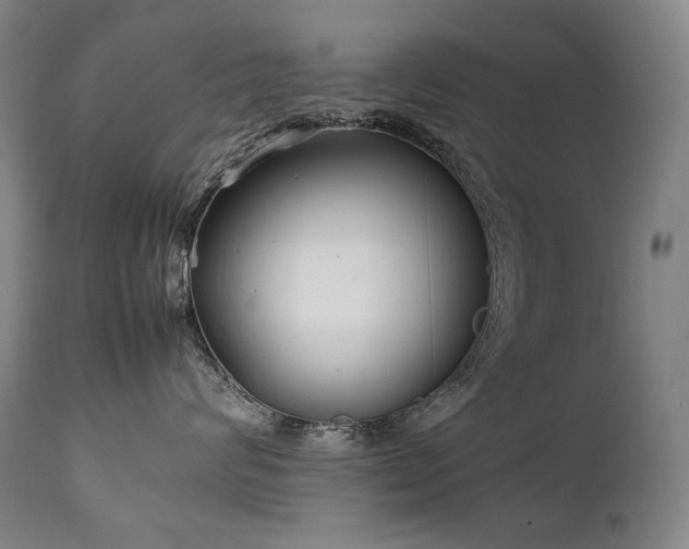X0000111230624200907021400