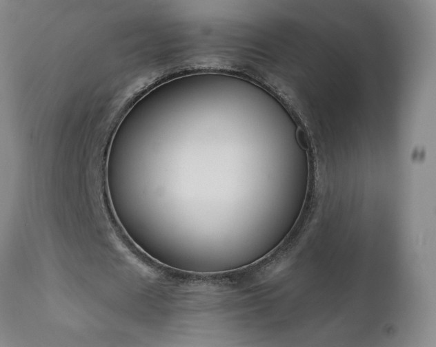 X0000111230625200907021359