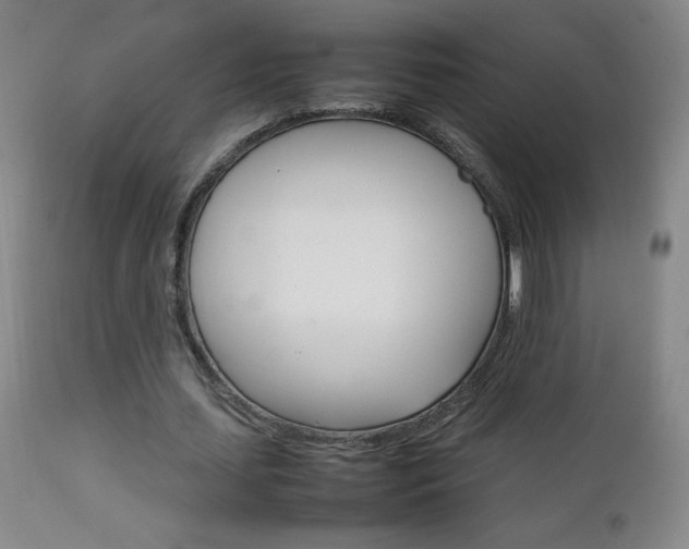 X0000111230627200907021359