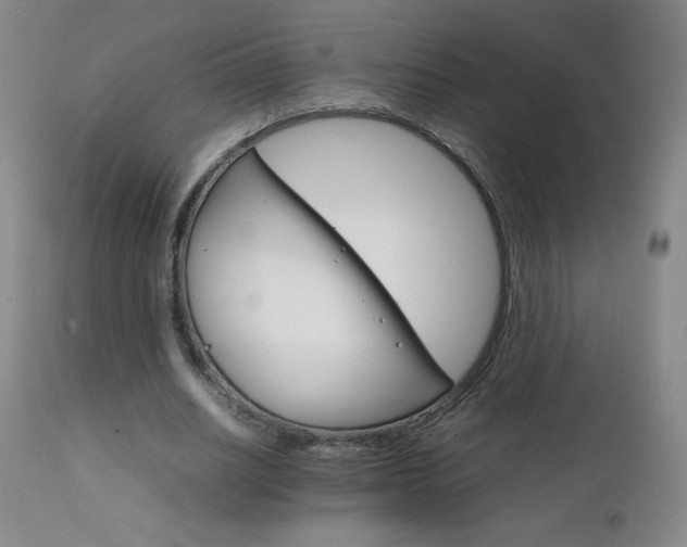 X0000111230630200907021359