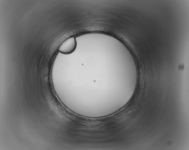 X0000111230631200907021359
