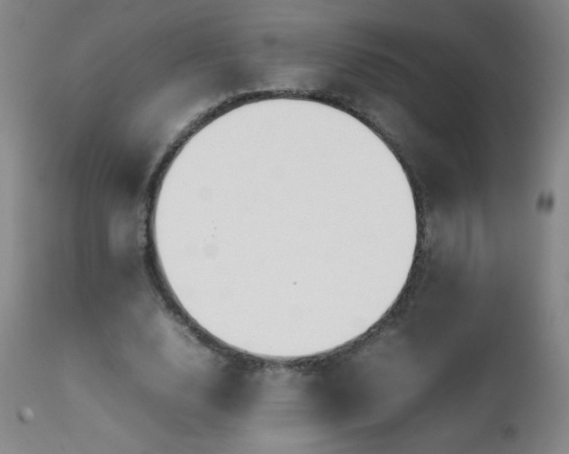 X0000111230632200907021359