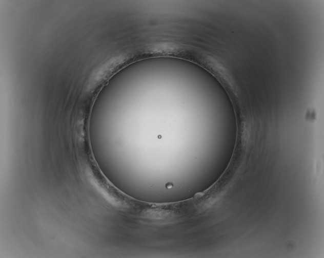 X0000111230633200907021359