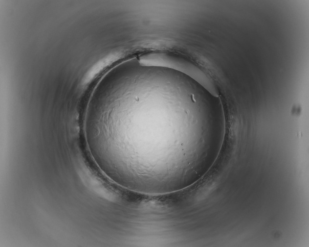 X0000111230634200907021359