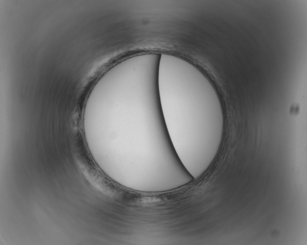 X0000111230636200907021359
