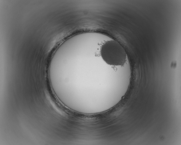 X0000111230638200907021359