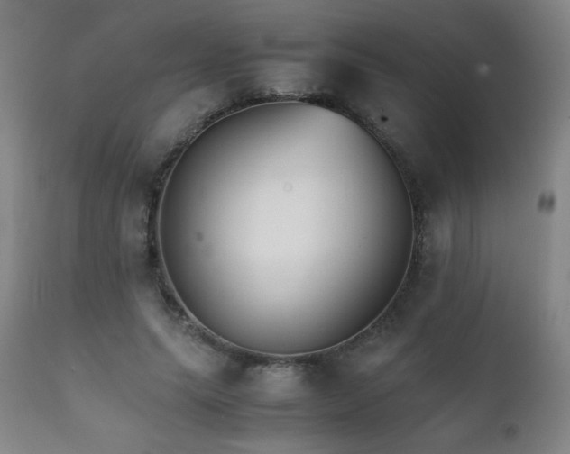 X0000111230639200907021359