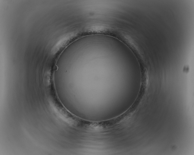 X0000111230640200907021359