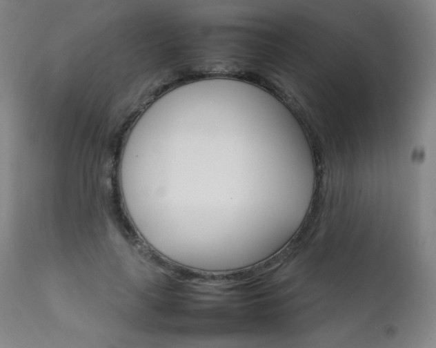 X0000111230643200907021400
