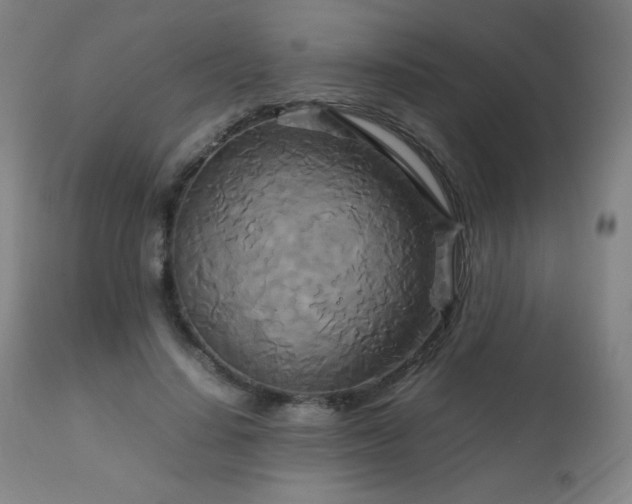 X0000111230644200907021400