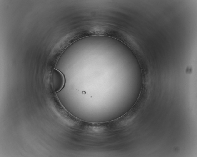 X0000111230645200907021400