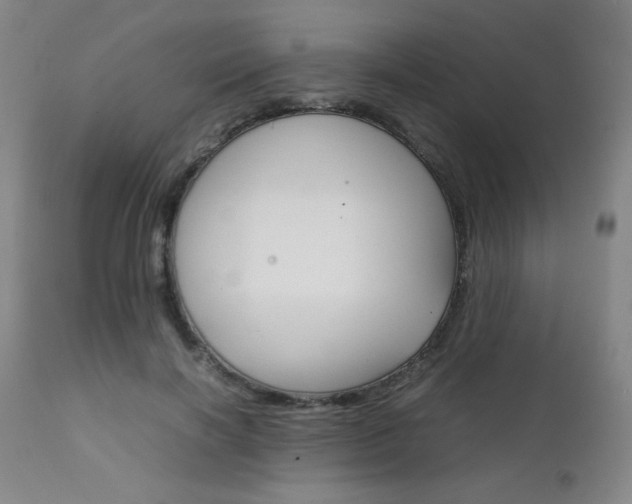X0000111230646200907021400