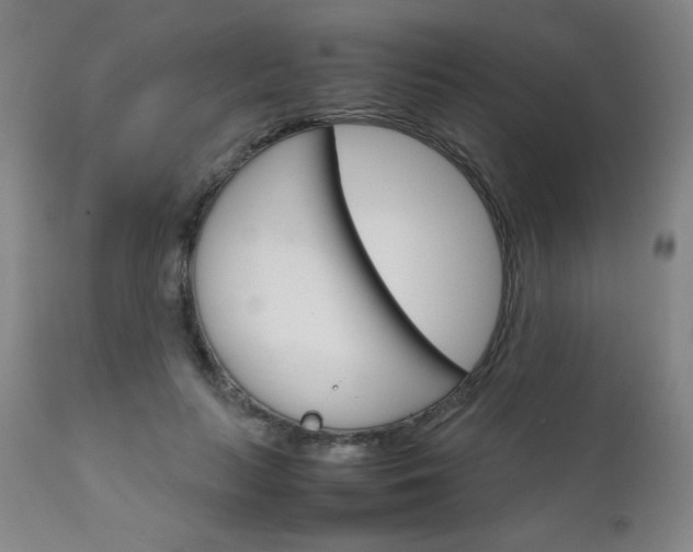 X0000111230647200907021400