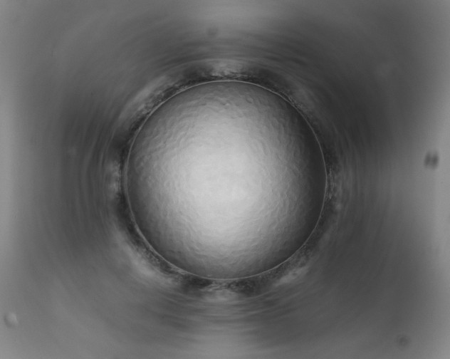 X0000111230648200907021400