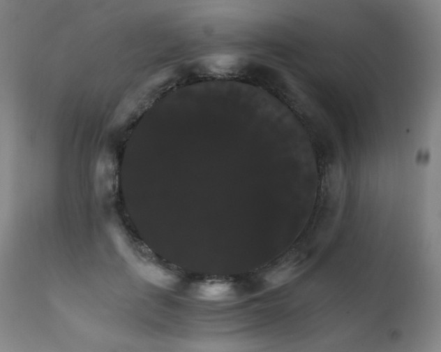 X0000111230651200907021400