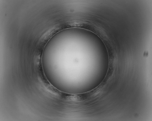 X0000111230652200907021400