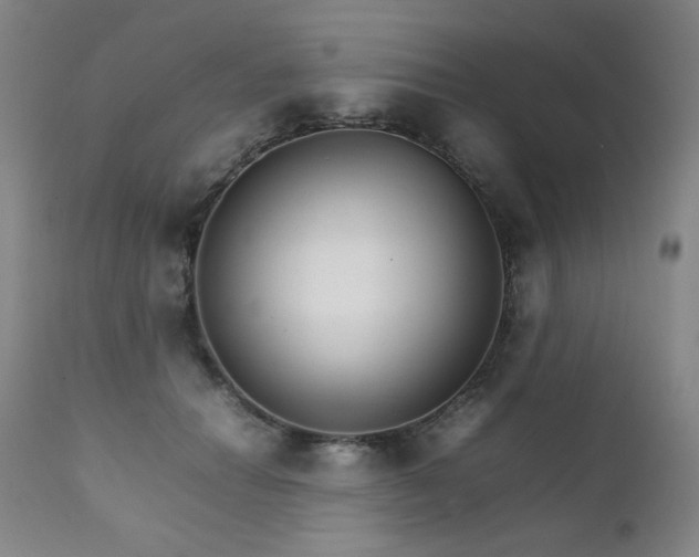 X0000111230654200907021400