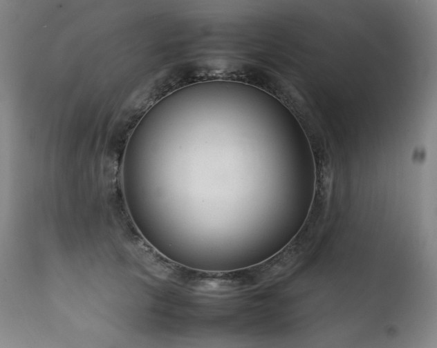 X0000111230657200907021400