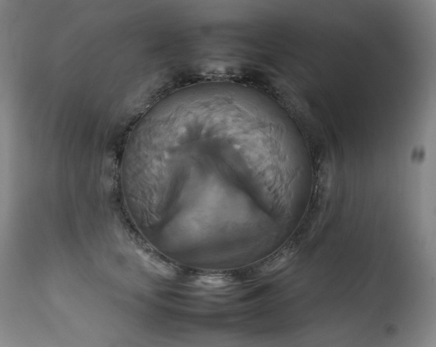 X0000111230659200907021400
