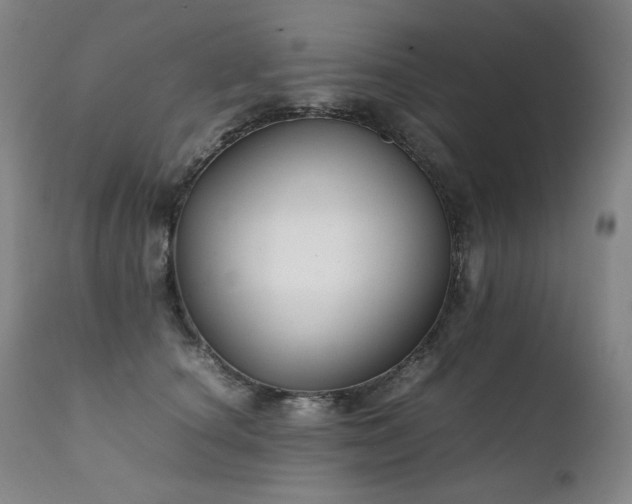 X0000111230660200907021400