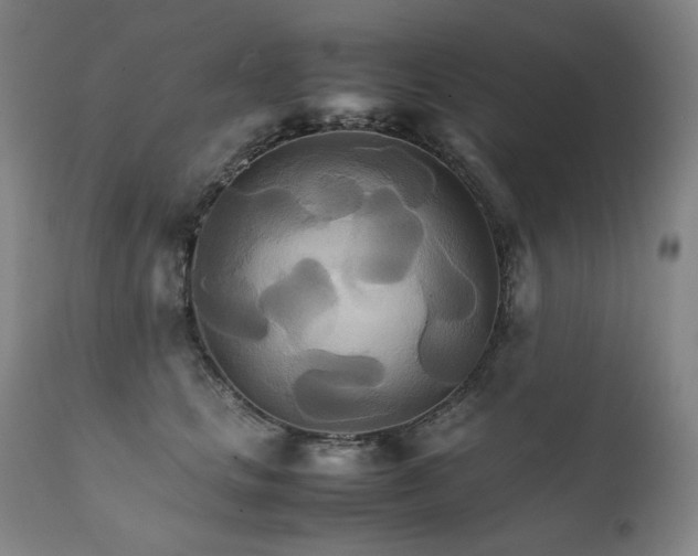 X0000111230661200907021400
