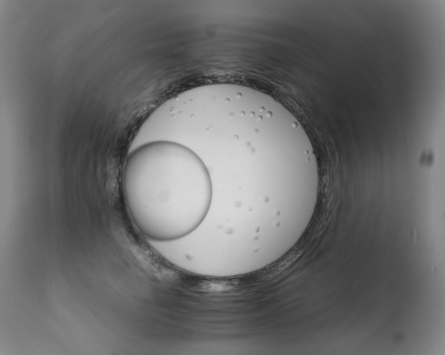 X0000111230662200907021400