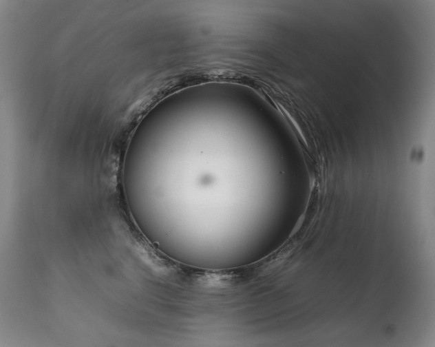 X0000111230664200907021400