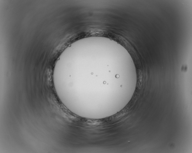 X0000111230667200907021400