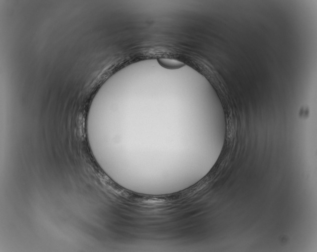 X0000111230669200907021400