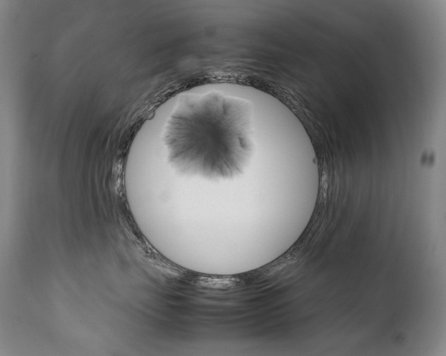 X0000111230671200907021400