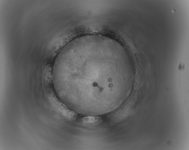 X0000111230672200907021400