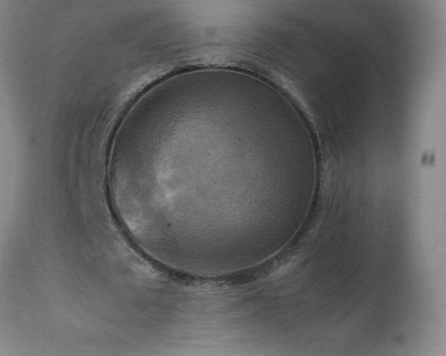 X0000111230673200907021359