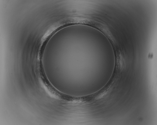 X0000111230674200907021359
