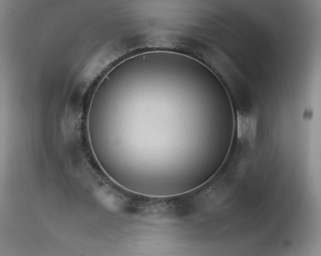 X0000111230675200907021359