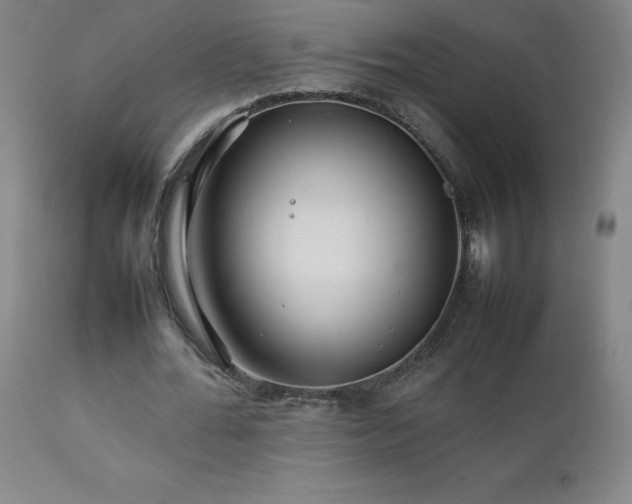 X0000111230676200907021359